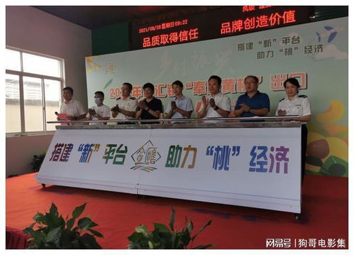 上海奉賢黃桃香飄香港，技術賦能開啟高品質(zhì)農(nóng)產(chǎn)品出口新篇章