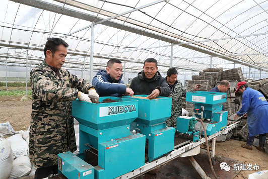 上海力推工廠化育秧技術 舉辦種植培訓班與團購農機雙管齊下